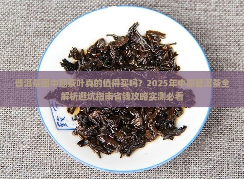 普洱茶圈中期茶叶