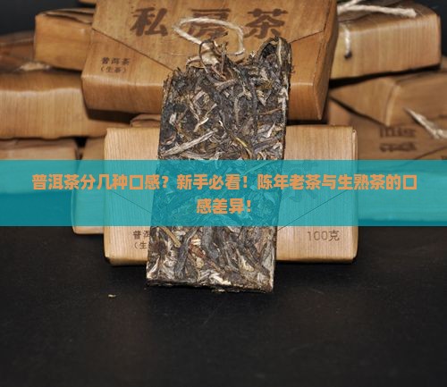 普洱茶分几种口感特点是什么