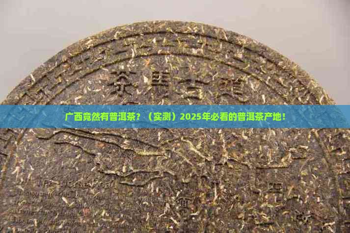 普洱茶的产地是广西