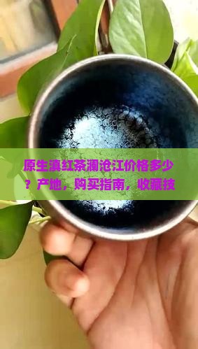 原生滇红茶澜沧江价格