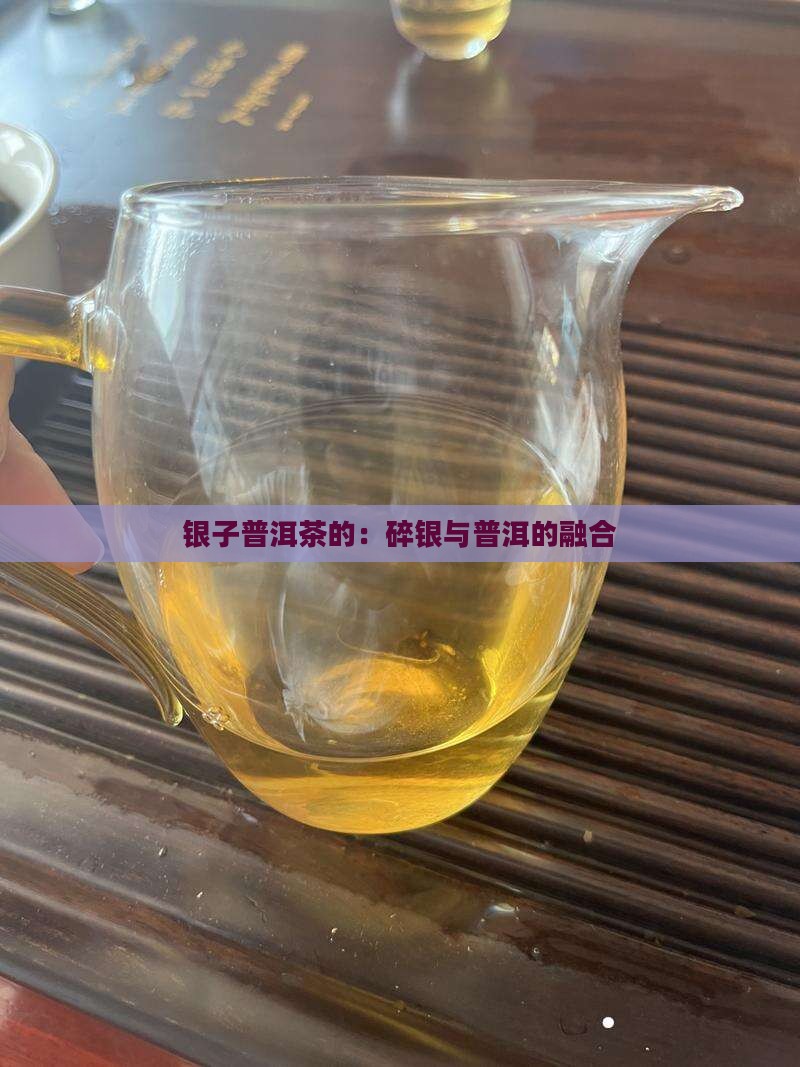 碎银子普洱茶的品牌