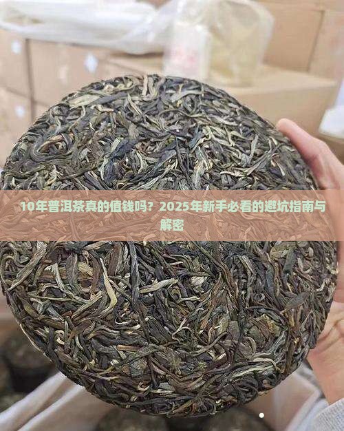 10年普洱茶怎么看