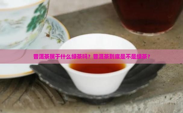 普洱茶属于什么绿茶吗