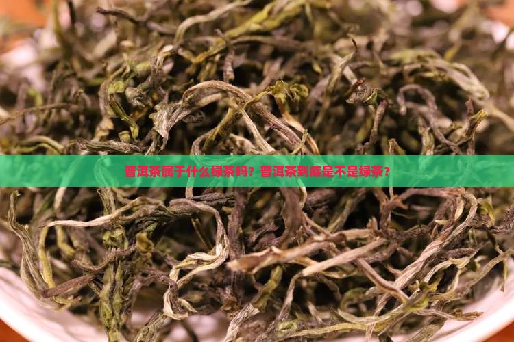 普洱茶属于什么绿茶吗