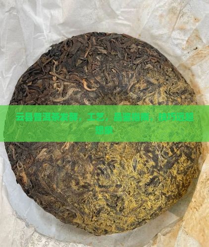 云县普洱茶发酵