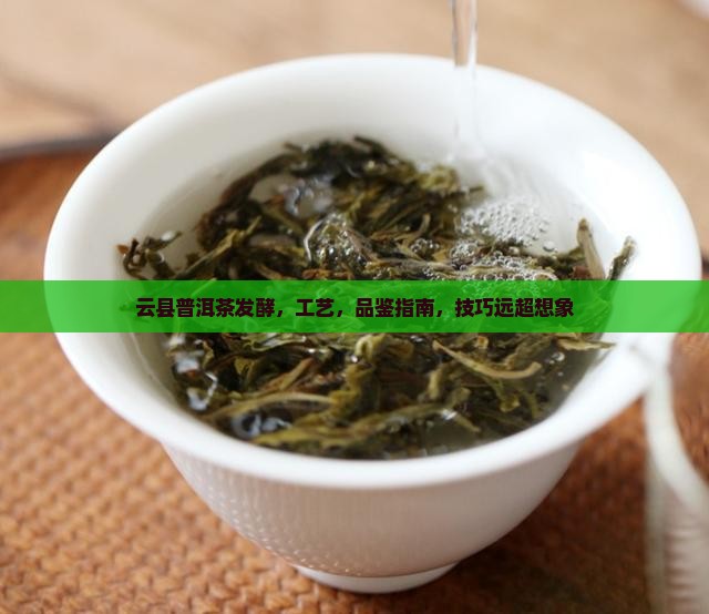 云县普洱茶发酵