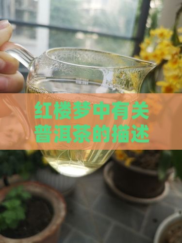 红楼梦中有关普洱茶的描述
