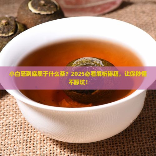 小白毫属于什么茶叶