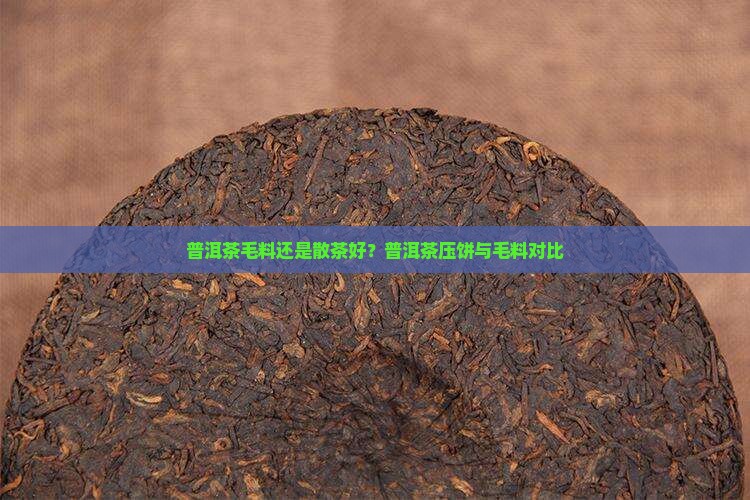普洱茶毛料好还是压饼