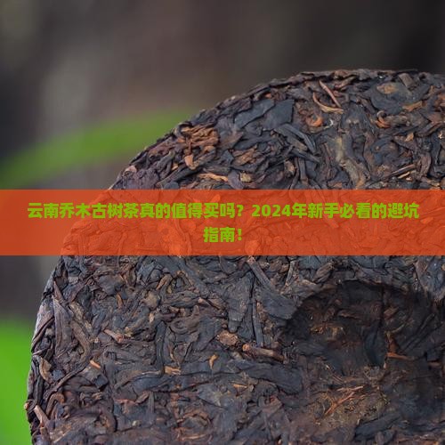 云南乔木古树茶