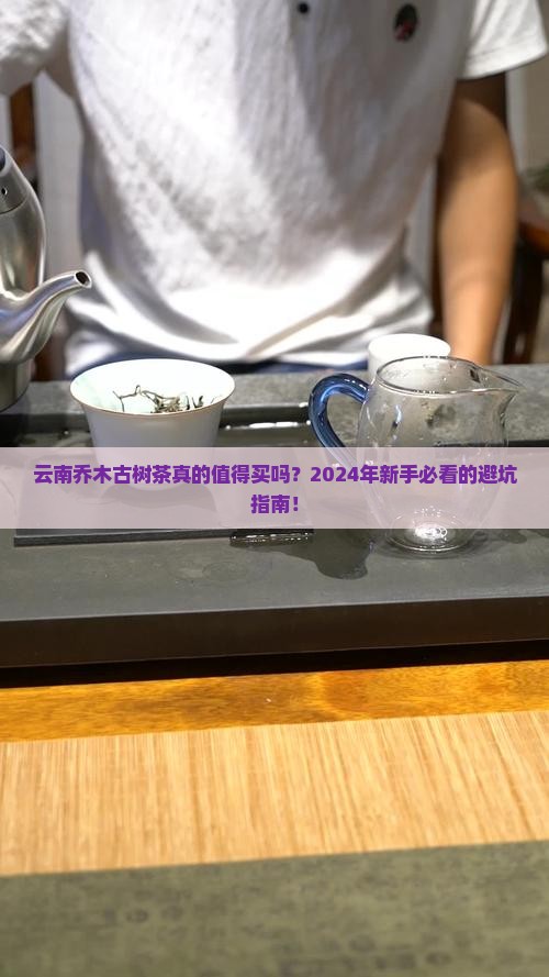 云南乔木古树茶