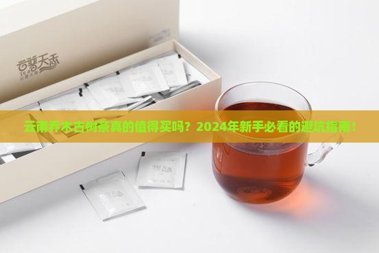 云南乔木古树茶