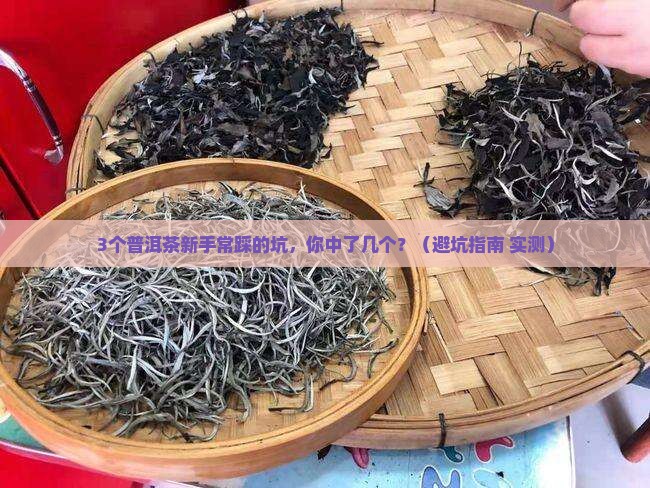 普洱茶常见数字