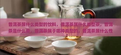 普洱茶属什么类型的饮料