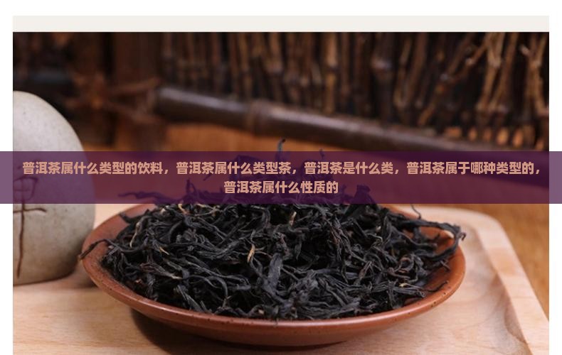 普洱茶属什么类型的饮料
