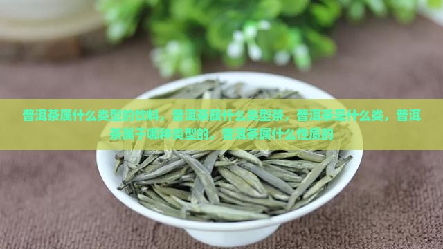 普洱茶属什么类型的饮料