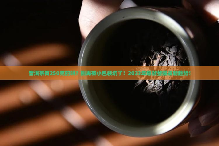 普洱茶有250克的吗