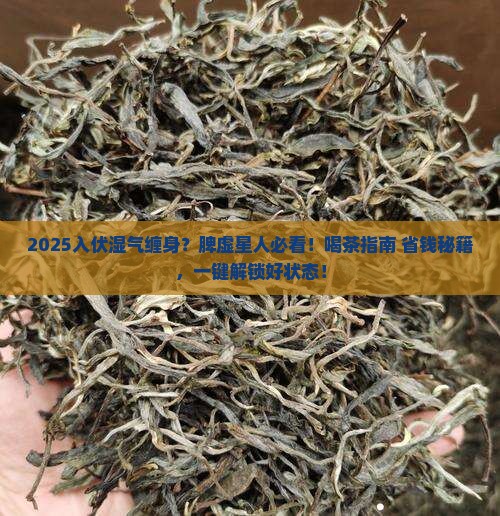 入伏后湿气重脾虚喝什么茶好