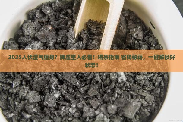 入伏后湿气重脾虚喝什么茶好