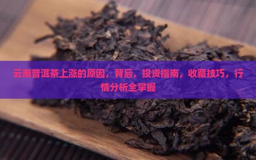 云南普洱茶上涨的原因