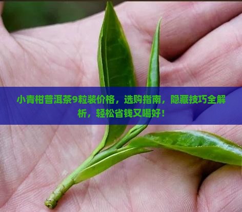 小青柑普洱茶9粒装价格