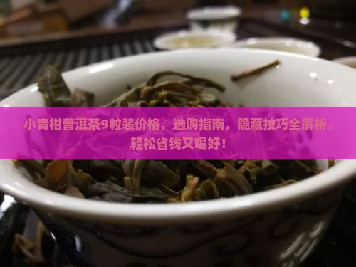 小青柑普洱茶9粒装价格