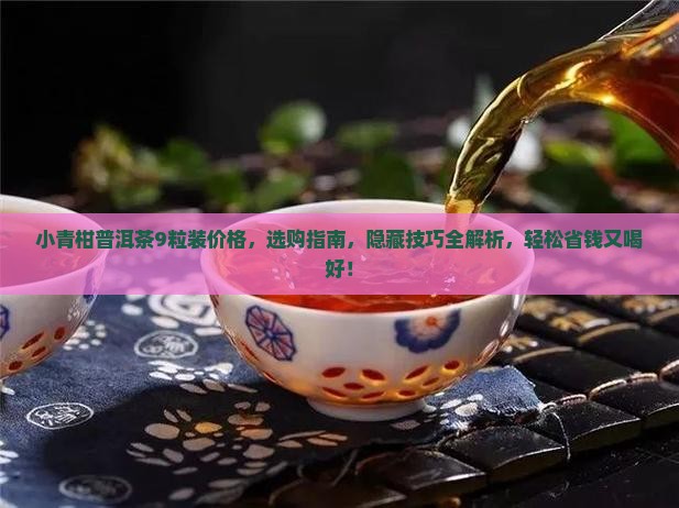 小青柑普洱茶9粒装价格