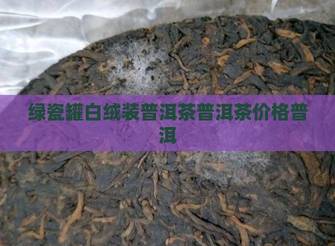 绿瓷罐白绒装普洱茶价格