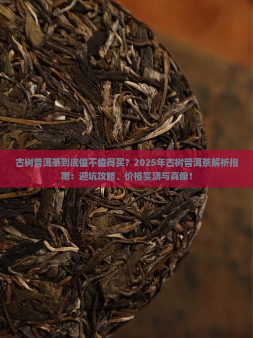 古树普洱茶特点与价格