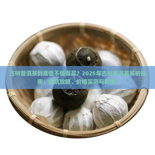 古树普洱茶特点与价格