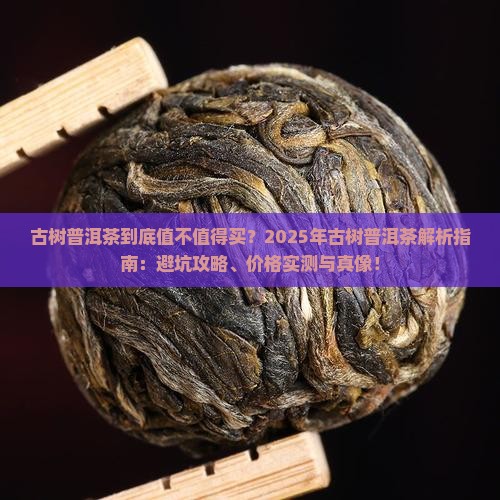 古树普洱茶特点与价格