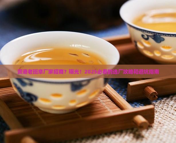 贵港老班章厂家招商