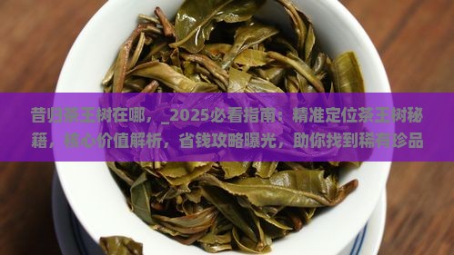 昔归茶王树在哪