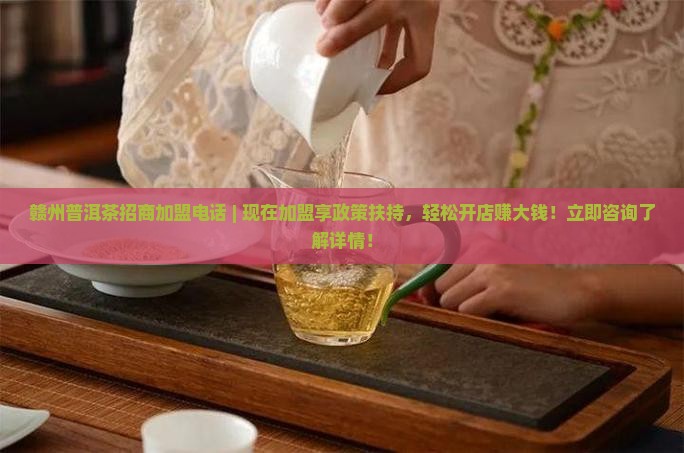 赣州普洱茶招商加盟电话