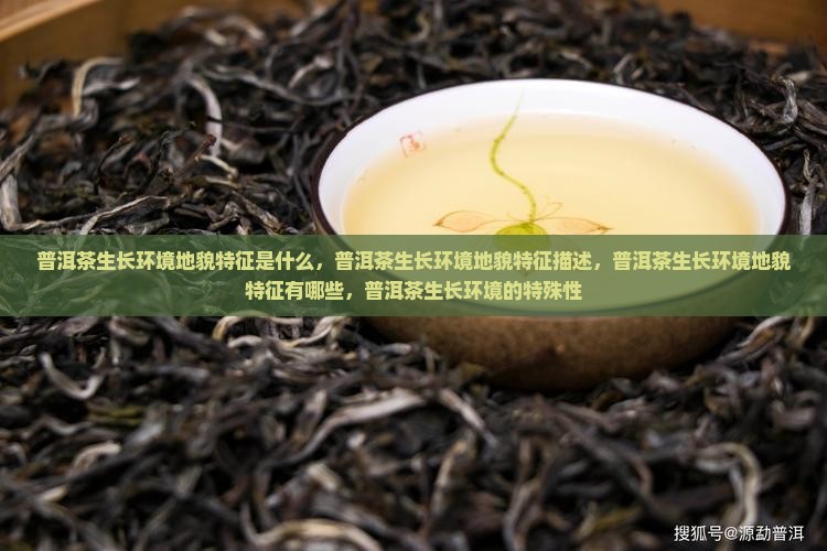 普洱茶生长环境地貌特征