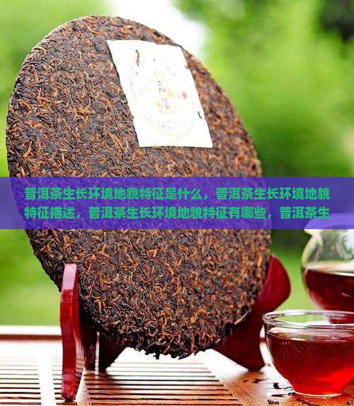普洱茶生长环境地貌特征