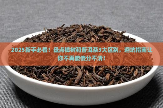 樟树和普洱茶的区别在哪里