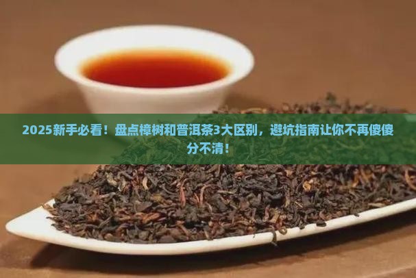 樟树和普洱茶的区别在哪里