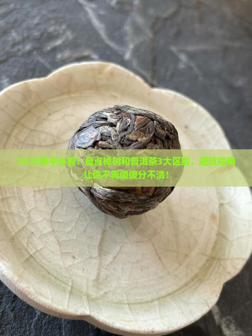 樟树和普洱茶的区别在哪里