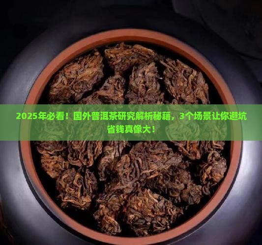 普洱茶国外研究情况