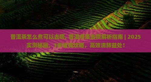 普洱茶怎么煮可以去痰