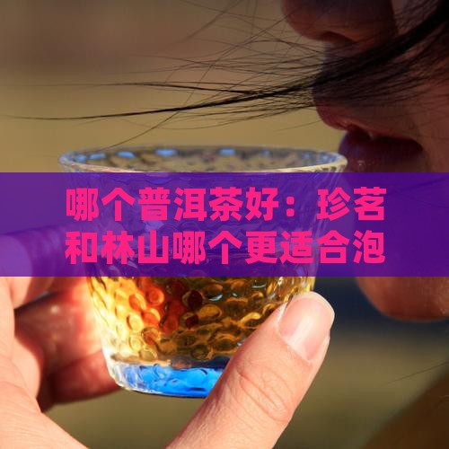 珍茗和林山哪个泡普洱茶好