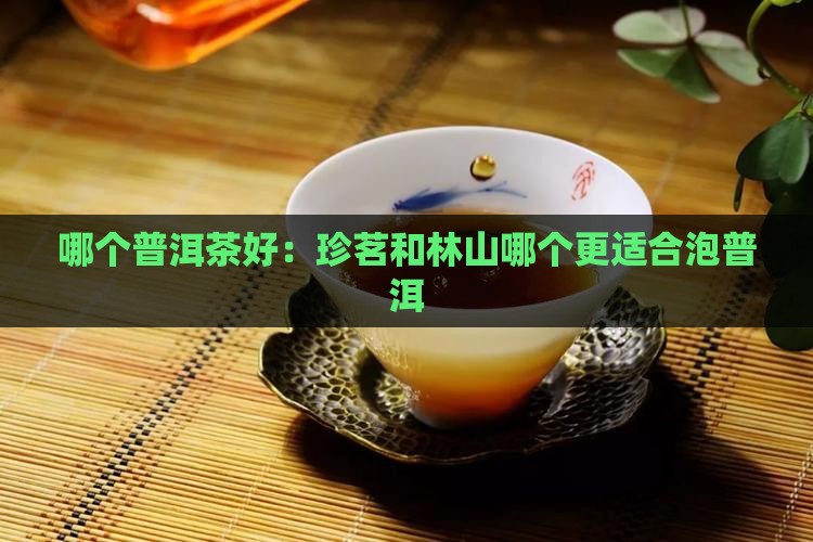 珍茗和林山哪个泡普洱茶好