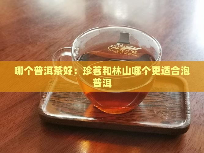 珍茗和林山哪个泡普洱茶好