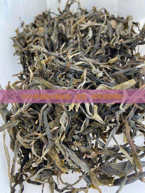 普洱茶需要冷藏