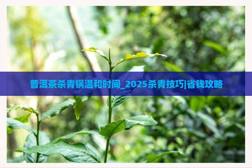 普洱茶杀青锅温和时间
