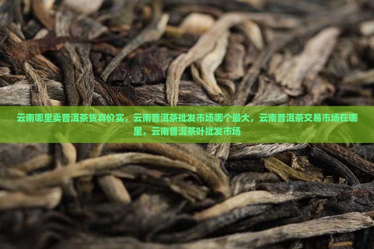 云南哪里卖普洱茶货真价实