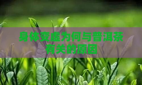 喝普洱茶身体变虚怎么回事