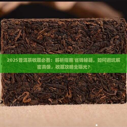 普洱茶的收藏法是什么