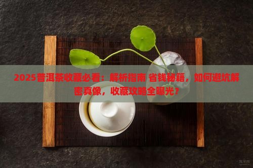 普洱茶的收藏法是什么